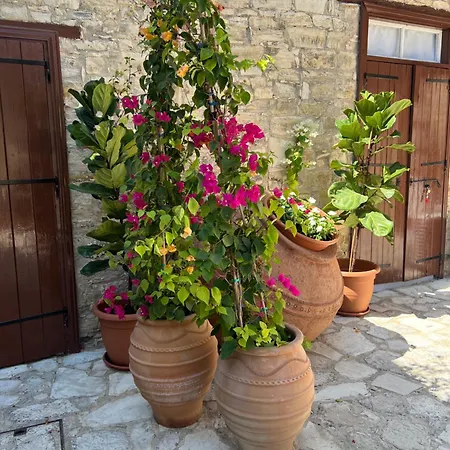 Theodorou Stone House Villa *